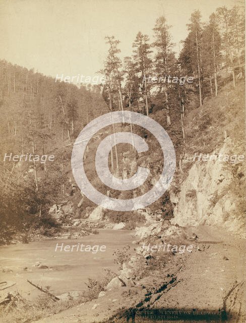 Grand Canyon Elk Canyon on Black Hills and Ft P RR, 1890. Creator: John C. H. Grabill.