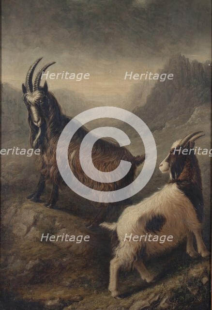 Two Welsh Goats, 1835. Creator: William Shiels.