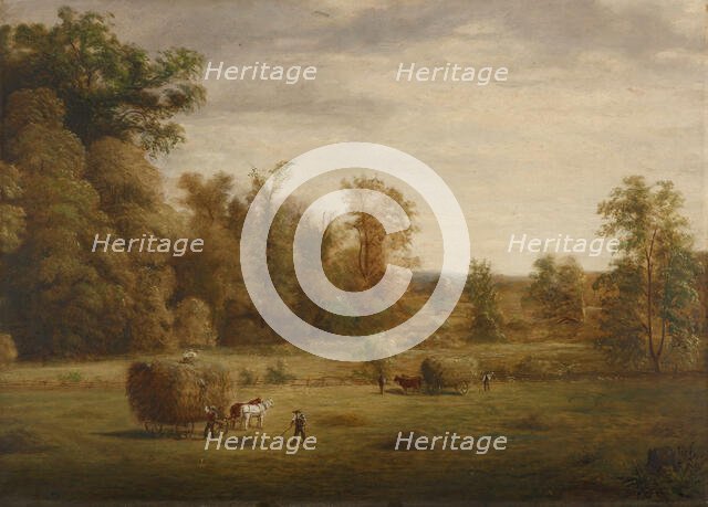 Sherman's Meadow, date unknown, c1830-1892. Creator: Jacob Cox.