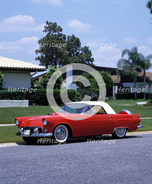 1956 Ford Thunderbird . Artist: Unknown.