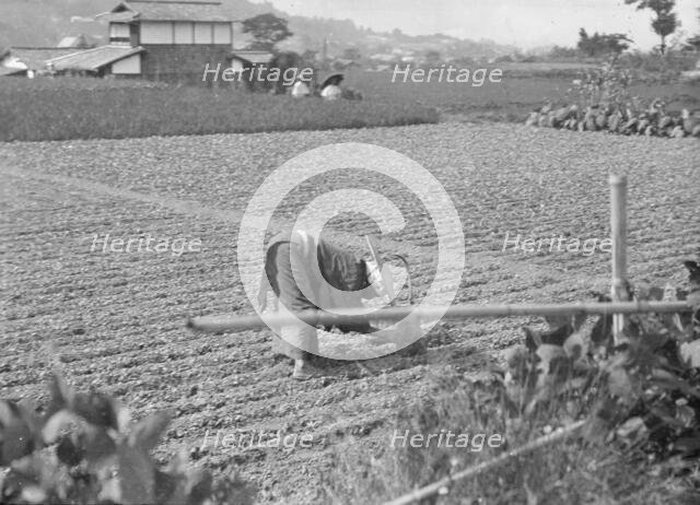 Travel views of Japan and Korea, 1908. Creator: Arnold Genthe.
