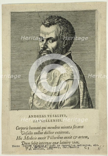 Portrait of Doctor Andreas Vesalius of Brussels, published 1574. Creators: Unknown, Johannes Sambucus.