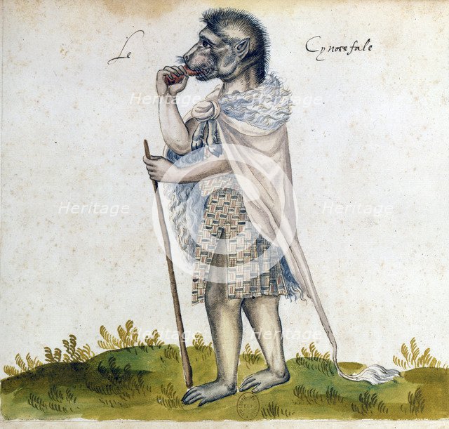 The cynoscephalus, 15th century. Artist: Unknown