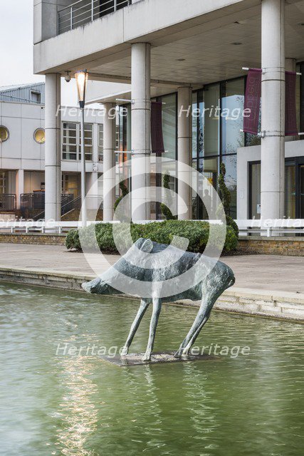 'Boar', the Water Gardens, Harlow, Essex, 2015. Artist: Steven Baker.