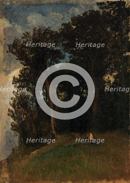 At the edge of a forest, 1890-1910. Creator: Friedrich Carl von Scheidlin.