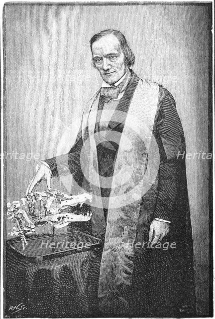 Richard Owen, British naturalist, c1856 (1891). Artist: Unknown