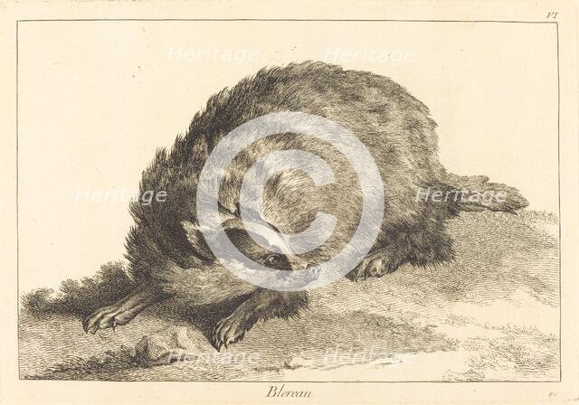 Blereau (Badger). Creator: Jacques Philippe Le Bas.