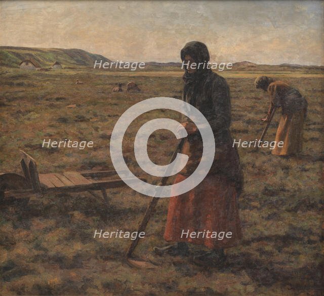 Women harvesting heather, 1906. Creator: Jens Vige.