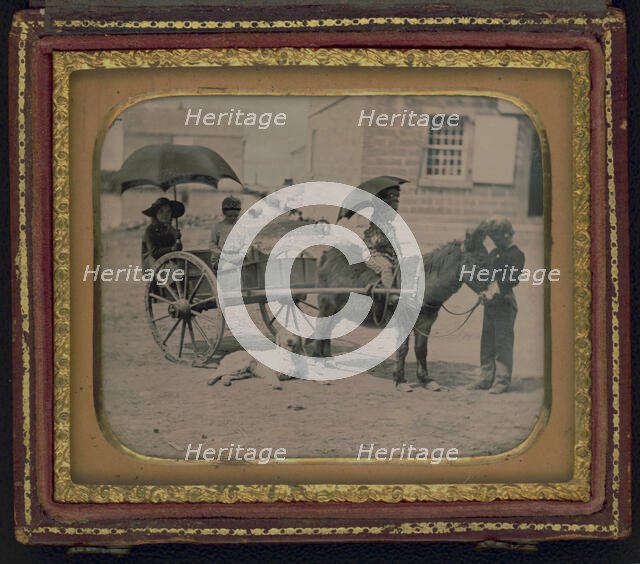 Children of Lt. Montgomery C. Meigs, in donkey cart with dog, probably..., between 1850 and 1851. Creator: Unknown.