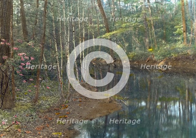 "Chelmsford," Elon Huntington Hooker house, Greenwich, Connecticut, c1914. Creator: Frances Benjamin Johnston.