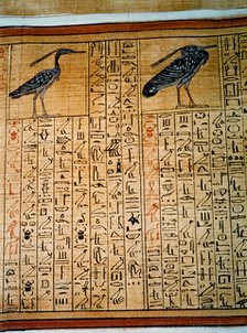 Papyrus from the tomb of Cha.