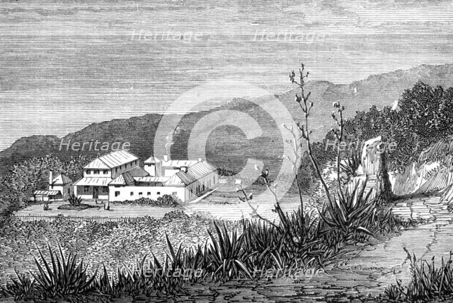 Mountain Hospital, Ascension Island, 1874. Creator: Unknown.