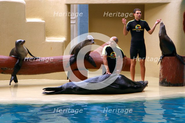 Sea lion show, Loro Parque, Tenerife, Canary Islands, 2007.