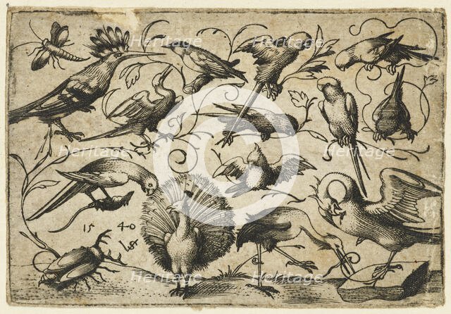 Ten birds on small foliage tendrils with a stork tying a tendril around a pelican’s leg..., 1540.  Creator: Virgil Solis.
