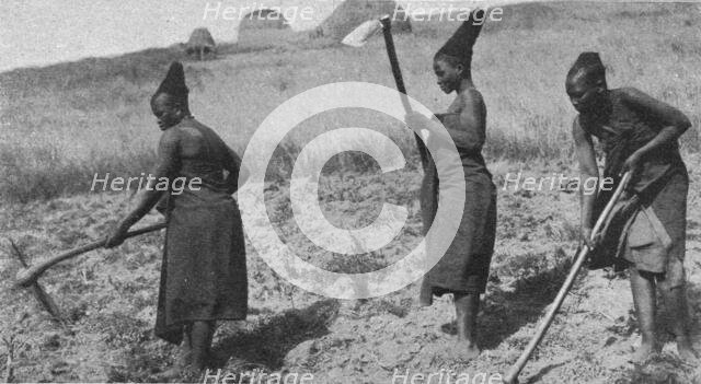''Femmes zouloues aux champs; Afrique Australe', 1914. Creator: Unknown.