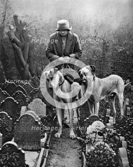 Dog cemetery, Victoria Gate, Bayswater, London, 1926-1927. Artist: Unknown