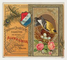 Goldfinch, from the Birds of America series (N37) for Allen & Ginter Cigarettes, 1888. Creator: Allen & Ginter.