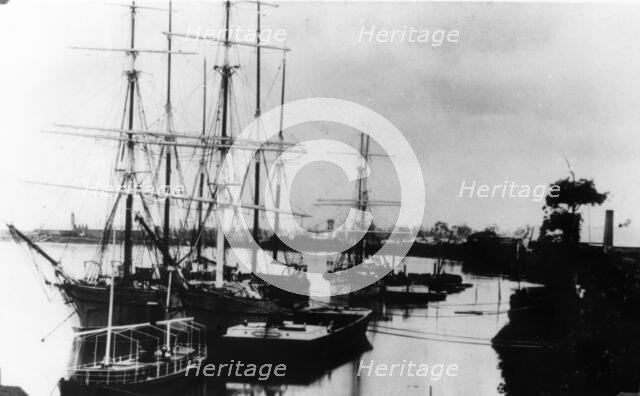 New Farm looking along the Brisbane River, c1883. Creator: Unknown.