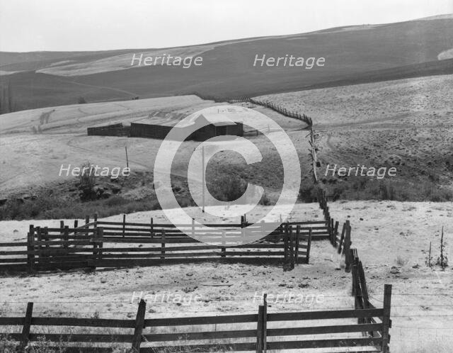 Desert stock farm, south central Washington, in region where much land has been overgrazed, 1939. Creator: Dorothea Lange.