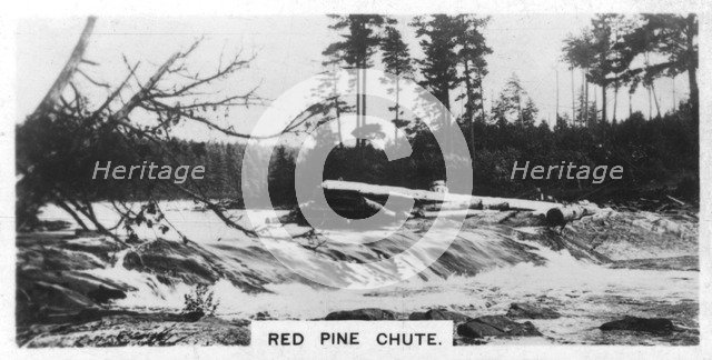 Red Pine Chute, Canada, c1920s. Artist: Unknown