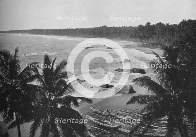 'View from Mount Lavinia, Showing Cocoanut Palms along Seashore', c1890, (1910). Artist: Alfred William Amandus Plate.