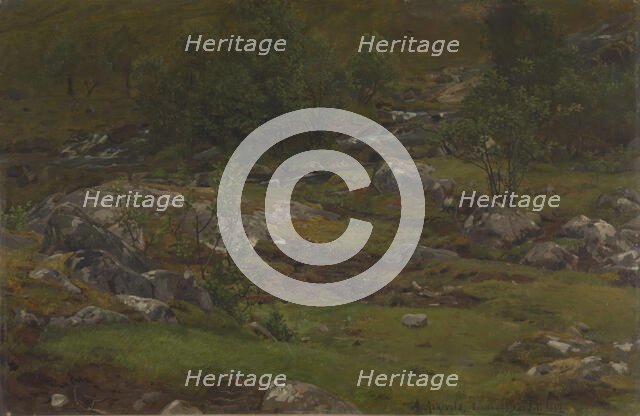 Landscape Study, 1862. Creator: Anders Monsen Askevold.