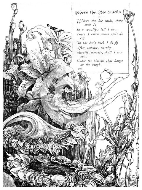 'Where the Bee Sucks', 1895. Artist: Unknown