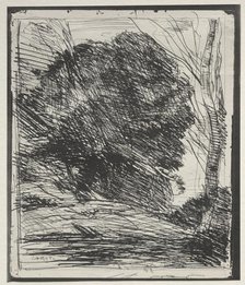 Trees on the Mountain, original impression 1856, printed in 1921. Creator: Jean Baptiste Camille Corot (French, 1796-1875).