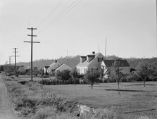 Down one street on Longview homestead project, Cowlitz County, Washington, 1939. Creator: Dorothea Lange.