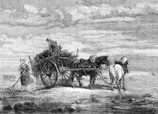 "Carting Seaweed, Coast of Normandy," by S. Bird, from the exhibition of the Royal Academy, 1872. Creator: Unknown.