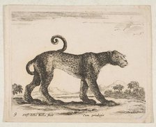 Plate 9: leopard, from 'Various animals' (Diversi animali), ca. 1641. Creator: Stefano della Bella.