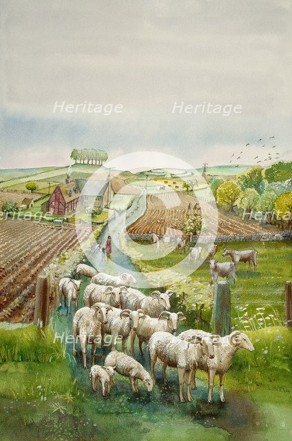 Rural landscape, c2010. Artist: Judith Dobie.