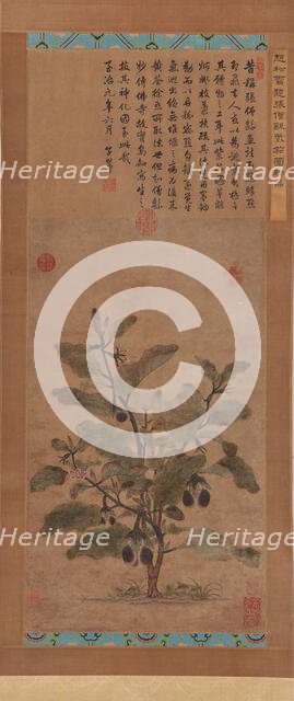 Eggplant, Ming dynasty, 1368-1644. Creator: Unknown.