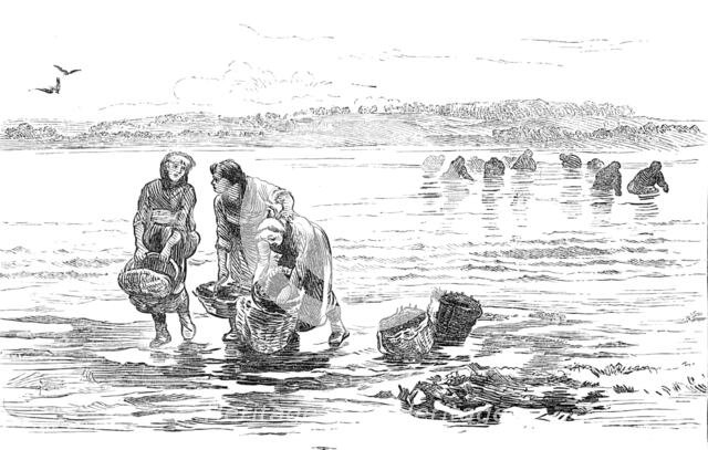 Sketch of a picture in the Royal Academy Exhibition: Mussel Gatherers, Colin Hunter, 1881. Creator: Unknown.