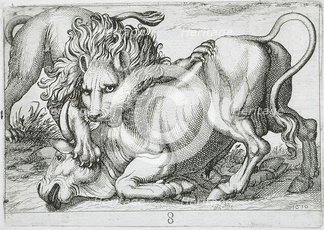 A Lion Attacking a Bull, 1610. Creator: Hendrick Hondius I.