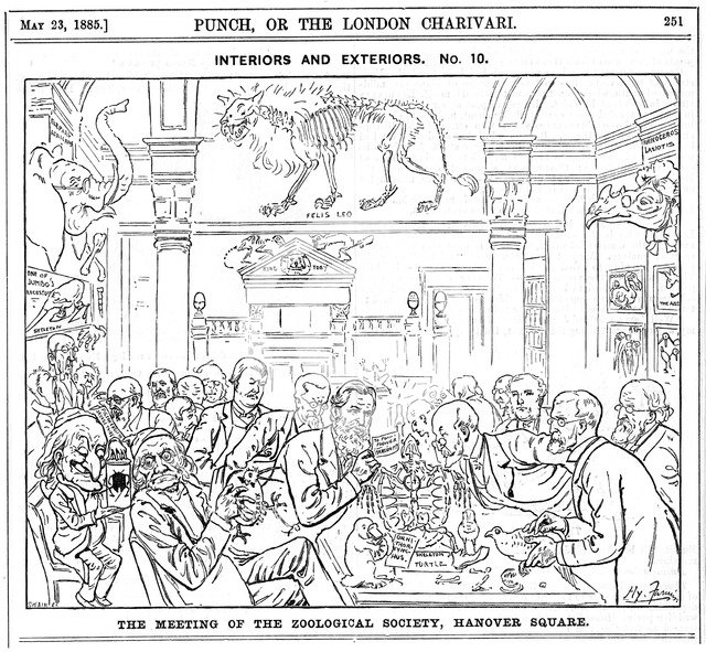 'The Meeting of the (Royal) Zoological Society, Hanover Square', London, 1885. Artist: Harry Furniss