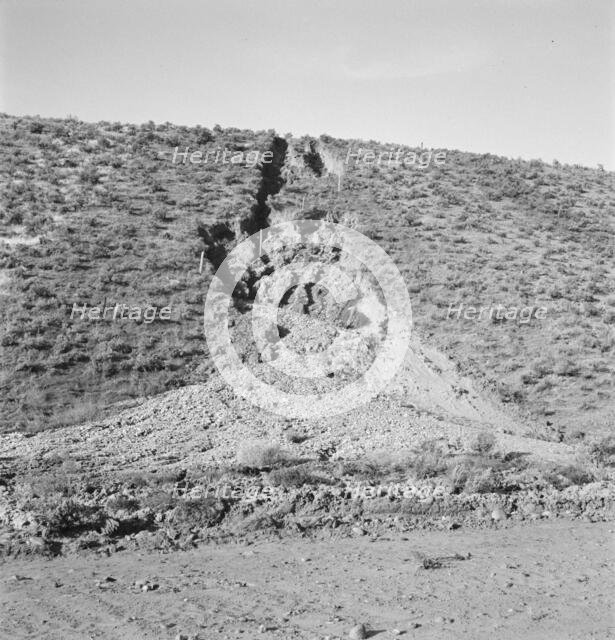 Water seepage from newly irrigated land..., Dead Ox Flat, Malheur County, Oregon, 1939. Creator: Dorothea Lange.