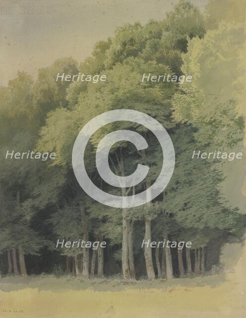 Forest edge near Braunfels, 1855. Creator: Carl Theodor Reiffenstein.