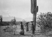 Saguaro fruit gatherers-Maricopa, c1907. Creator: Edward Sheriff Curtis.