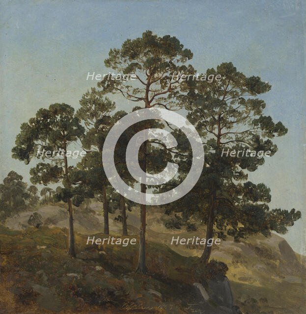 Study of Trees, 1843. Creator: Joachim Frich.