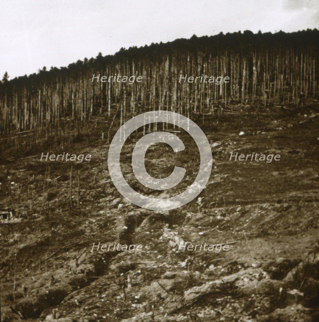 Alsace, c1914-c1918. Artist: Unknown.