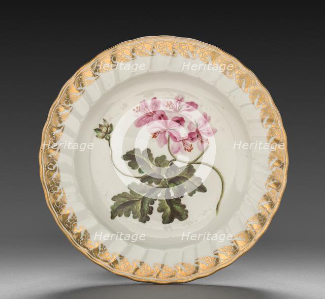 Plate from Dessert Service: Geranium Terabinthinum, c. 1800. Creator: Derby (Crown Derby Period) (British).