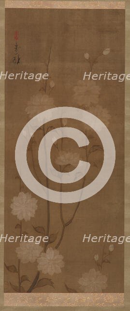 Drooping cherry branches in blossom, Edo period, mid 18th-early 19th century. Creator: Sakai Hoitsu.