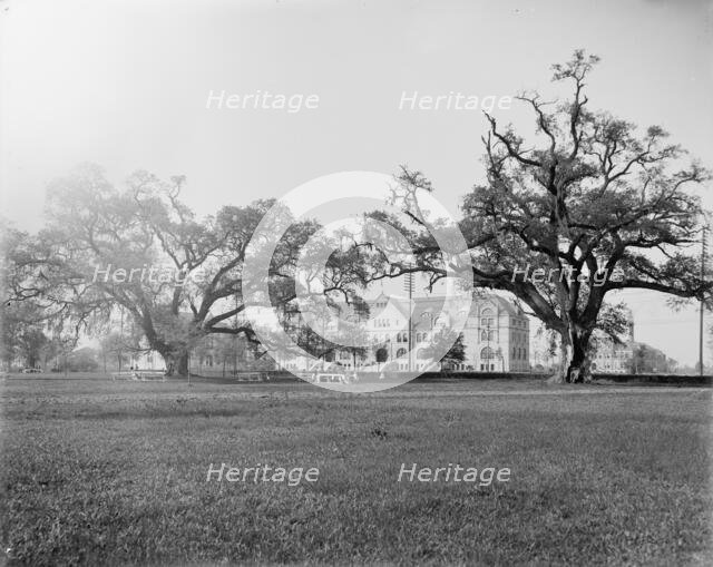 Tulane University, New Orleans, Louisiana, between 1900 and 1910. Creator: Unknown.