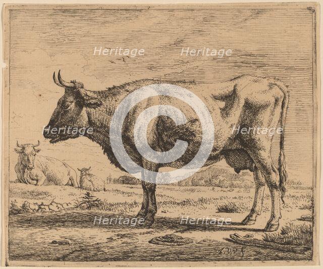 Two Cows and a Sheep, c. 1657/1659. Creator: Adriaen van de Velde.