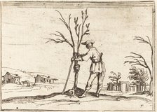 Gardener Pruning a Tree, 1628. Creator: Jacques Callot.