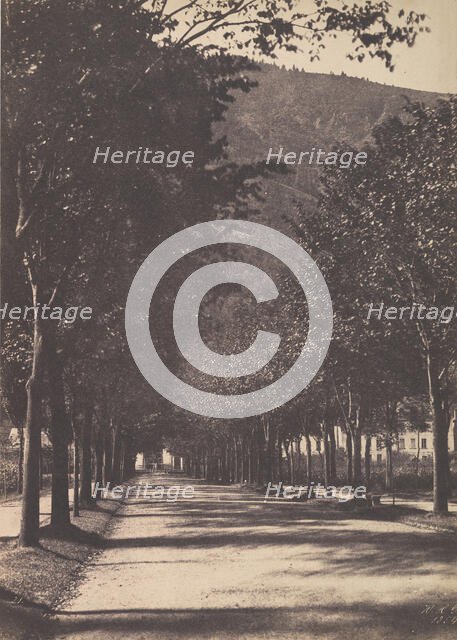 Allée of Trees, Pau, 1854. Creator: William Henri Gebhard.
