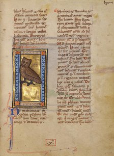 A Night Heron; Bestiary, about 1270. Creator: Unknown.