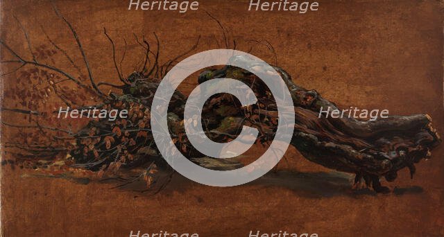 Study of a gnarled Branch, c1810-1850. Creator: Johan Christian Dahl.