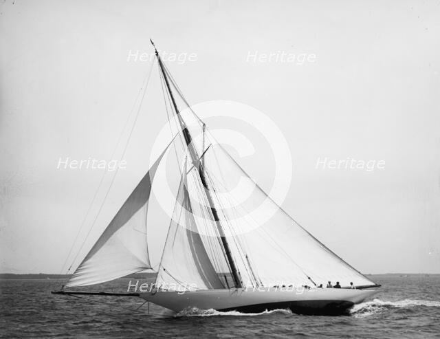 Wasp, 1896 July 25. Creator: John S Johnston.